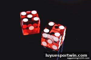 AG真人 luyuesportwin